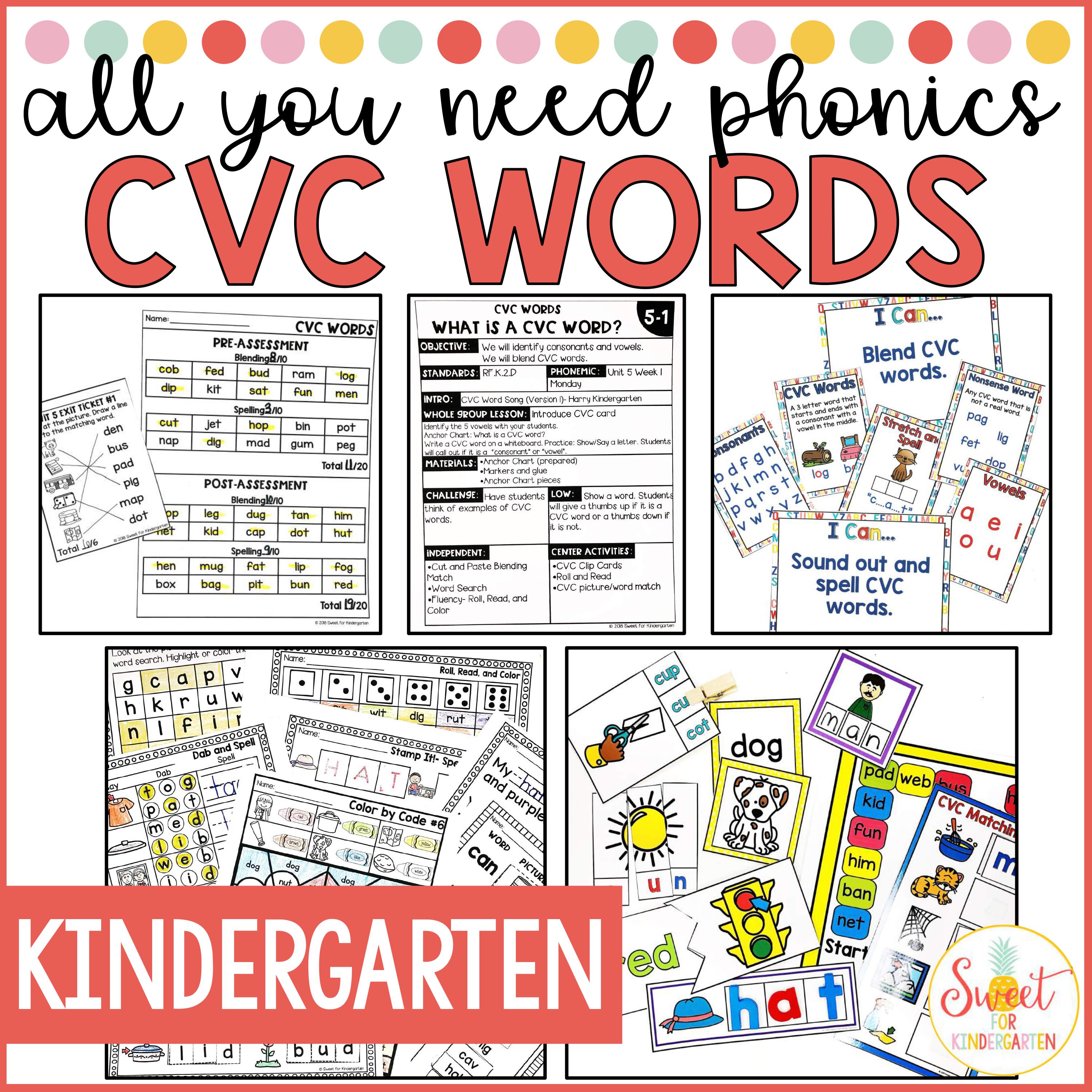 Click here to grab the CVC Words unit.