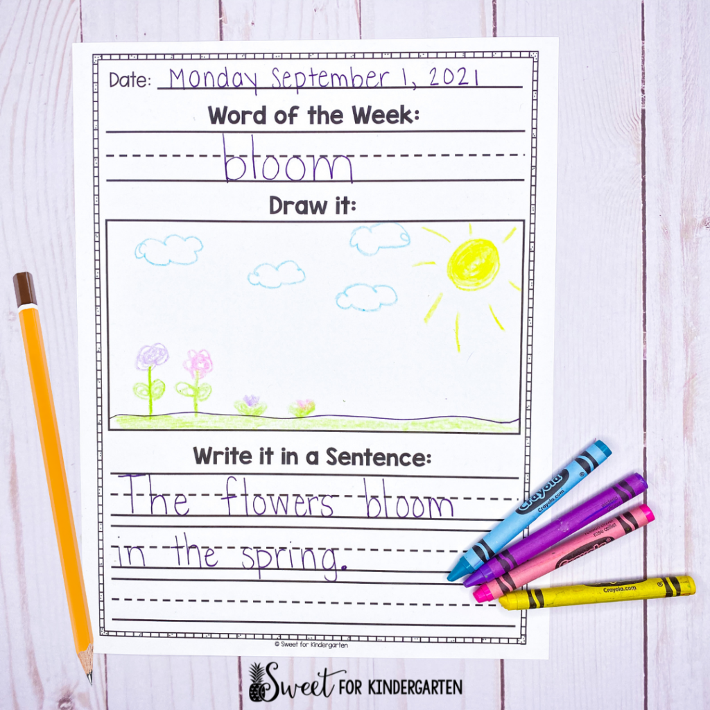 Word of the Week Vocabulary Printable
